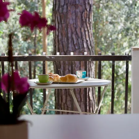 Antonietta 4, Relax Nella Pineta *