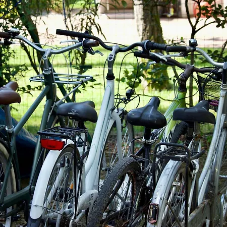 Antonietta 4, Relax Nella Pineta * 比比翁