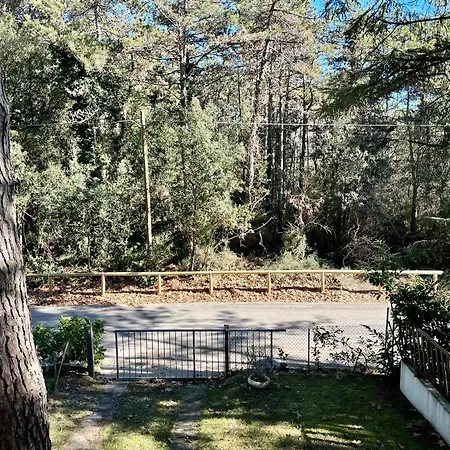 公寓 Antonietta 4, Relax Nella Pineta